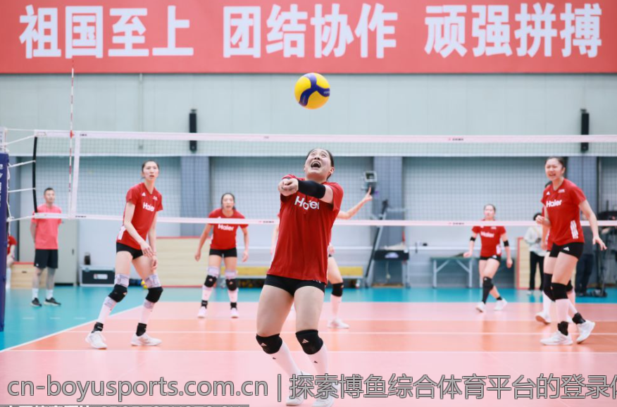 探索博鱼综合体育平台的登录体验与技巧